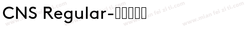 CNS Regular字体转换